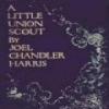 A Little Union Scout