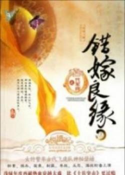 A Mistaken Marriage Match: A Generation Of Military Counselor