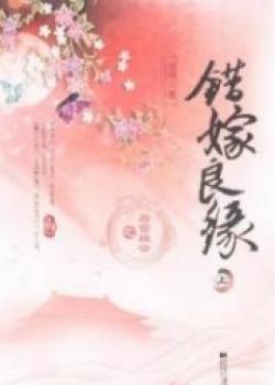 A Mistaken Marriage Match: Mysteries In The Imperial Harem
