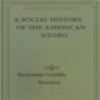 A Social History Of The American Negro