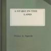 A Stake In The Land
