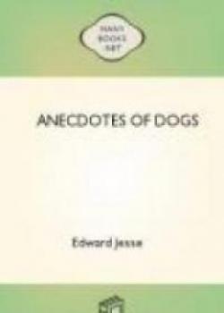 Anecdotes Of Dogs