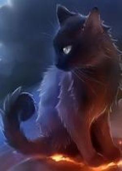 Being A Cat In A Dungeon, It