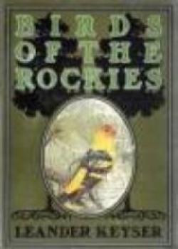 Birds Of The Rockies