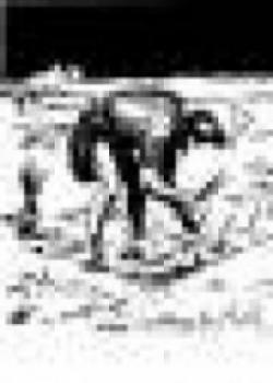 Blessed Are The Meek