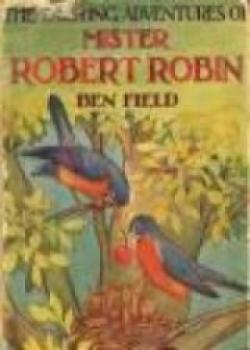 Exciting Adventures Of Mister Robert Robin