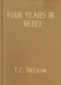 Four Years In Rebel Capitals