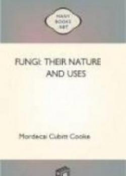 Fungi: Their Nature And Uses