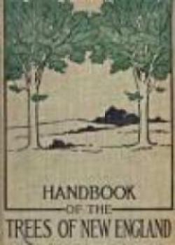 Handbook Of The Trees Of New England