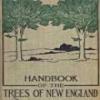 Handbook Of The Trees Of New England