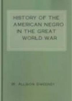 History Of The American Negro In The Great World War
