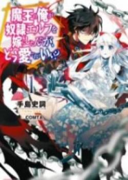 I, The Demon Lord, Took A Slave Elf As My Wife, But How Do I Love Her?