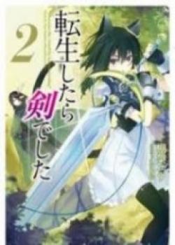 I Was A Sword When I Reincarnated (LN)