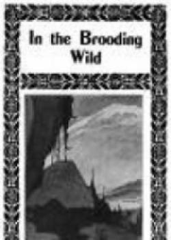 In The Brooding Wild