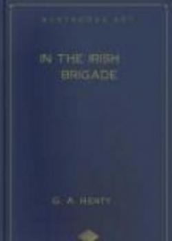 In The Irish Brigade