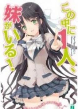 Kono Naka Ni Hitori, Imouto Ga Iru!