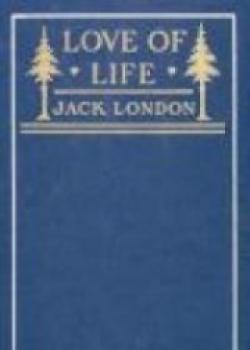 Love Of Life