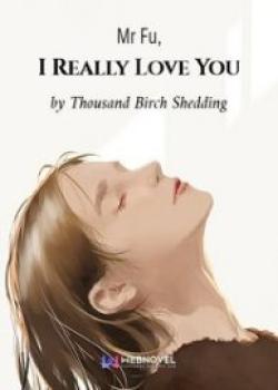 Mr Fu, I Really Love You