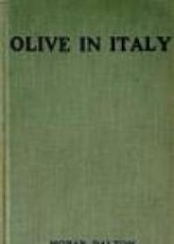 Olive In Italy