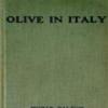 Olive In Italy
