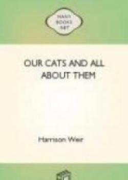Our Cats And All About Them