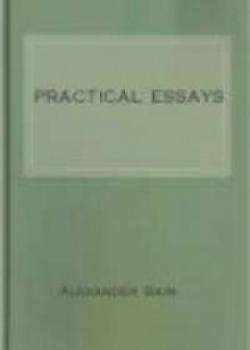 Practical Essays