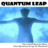 Quantum Leap: Multiverse Transmigration