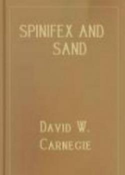 Spinifex And Sand
