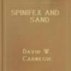 Spinifex And Sand