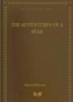 The Adventures Of A Bear