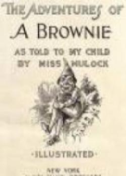 The Adventures Of A Brownie