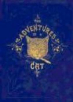 The Adventures Of A Cat