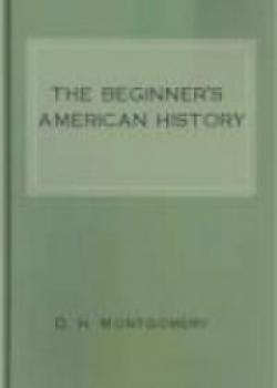 The Beginner