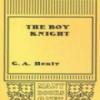 The Boy Knight