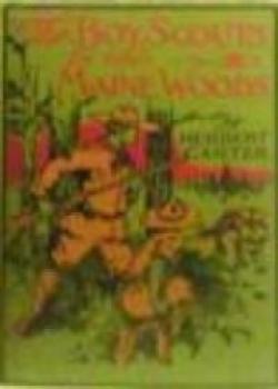 The Boy Scouts In The Maine Woods