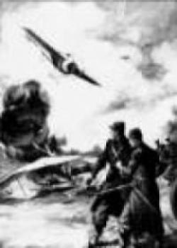 The Forest Of Swords