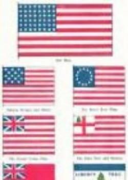 The Little Book Of The Flag