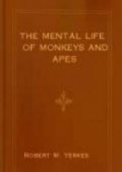 The Mental Life Of Monkeys And Apes