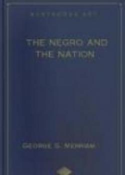 The Negro And The Nation