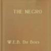 The Negro