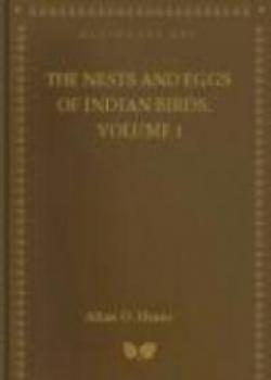 The Nests And Eggs Of Indian Birds