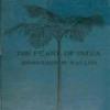 The Pearl Of India