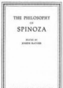 The Philosophy Of Spinoza