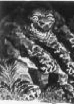 The Planetoid Of Peril