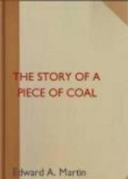The Story Of A Piece Of Coal