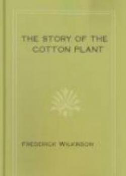 The Story Of The Cotton Plant