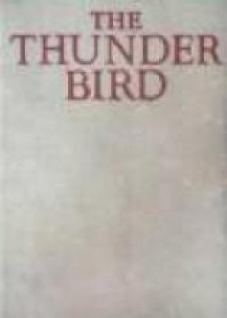 The Thunder Bird
