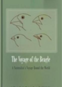 The Voyage Of The Beagle
