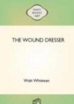 The Wound Dresser