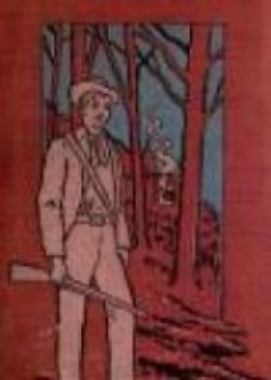 The Young Acrobat Of The Great North American Circus